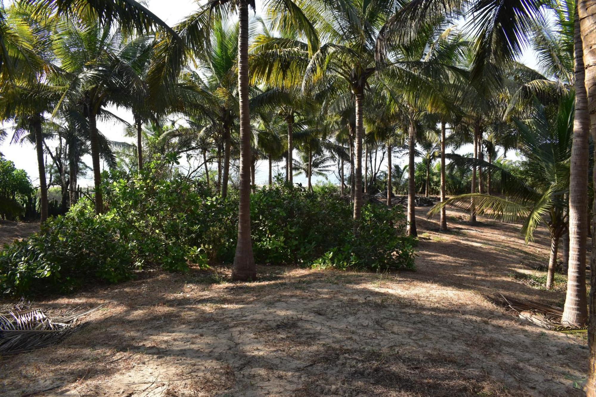 Sneh Beach Homestay - Wayangani Vengurla エクステリア 写真